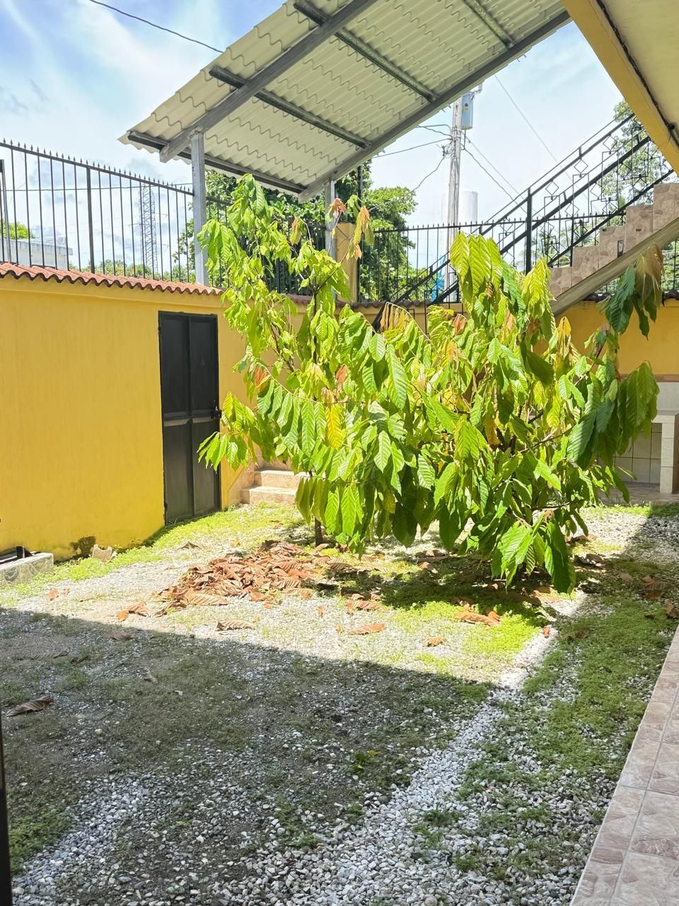 14 de 16