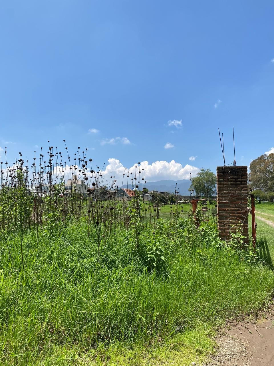 Terreno en Atotonilco el Grande Centro, Atotonilco el Grande, foto 5 de 8