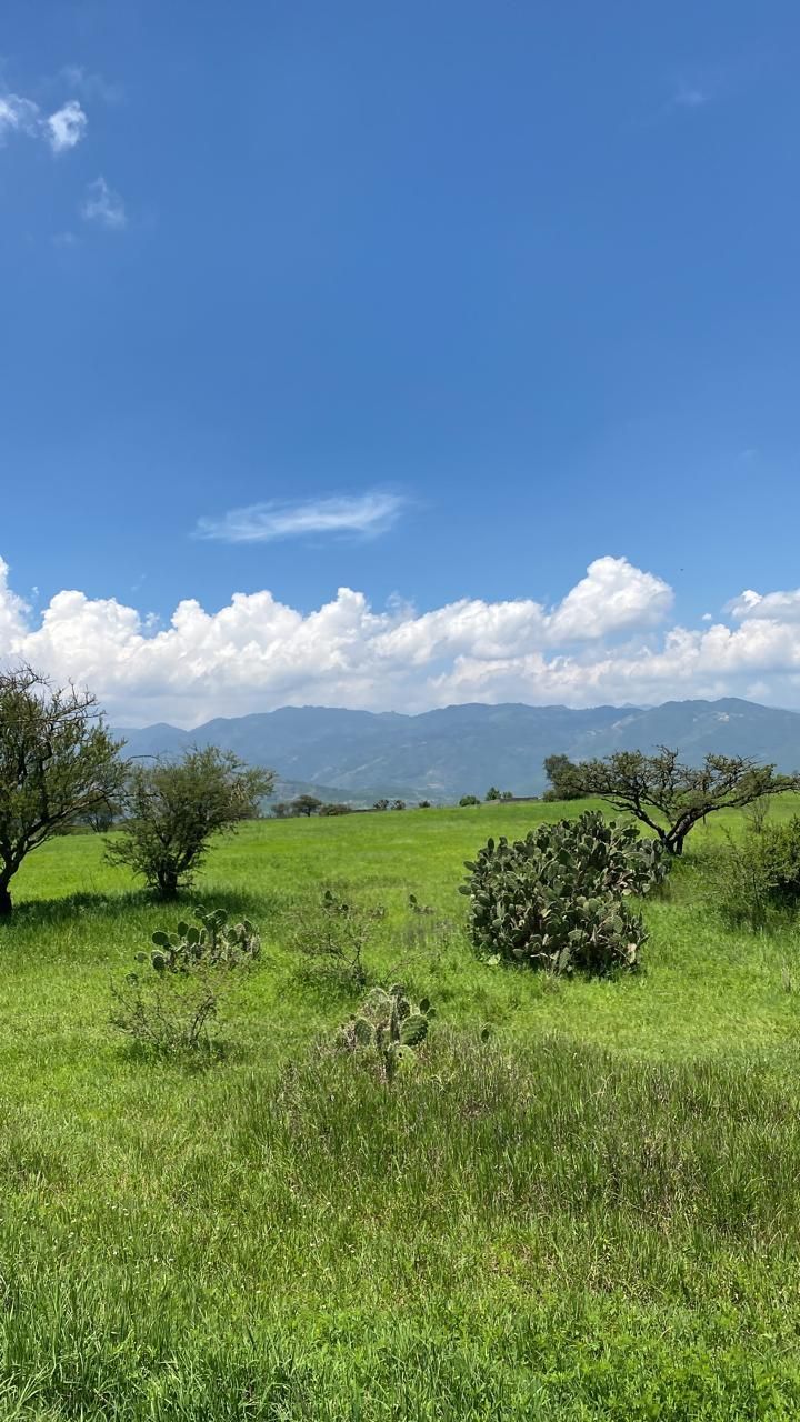 Terreno en Atotonilco el Grande Centro, Atotonilco el Grande, foto 6 de 8