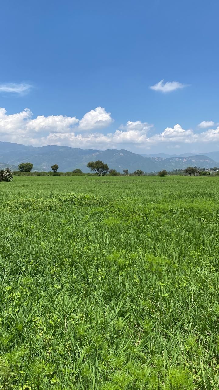 Terreno en Atotonilco el Grande Centro, Atotonilco el Grande, foto 8 de 8
