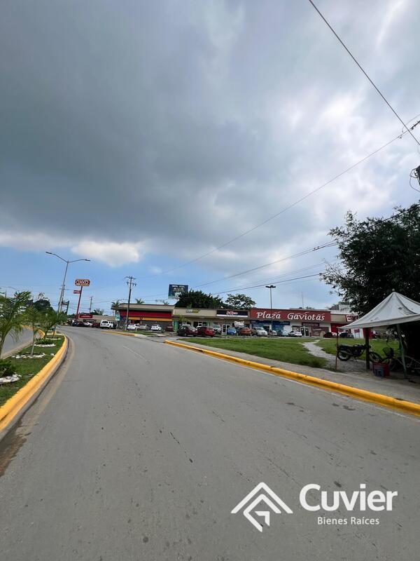 5 de 23