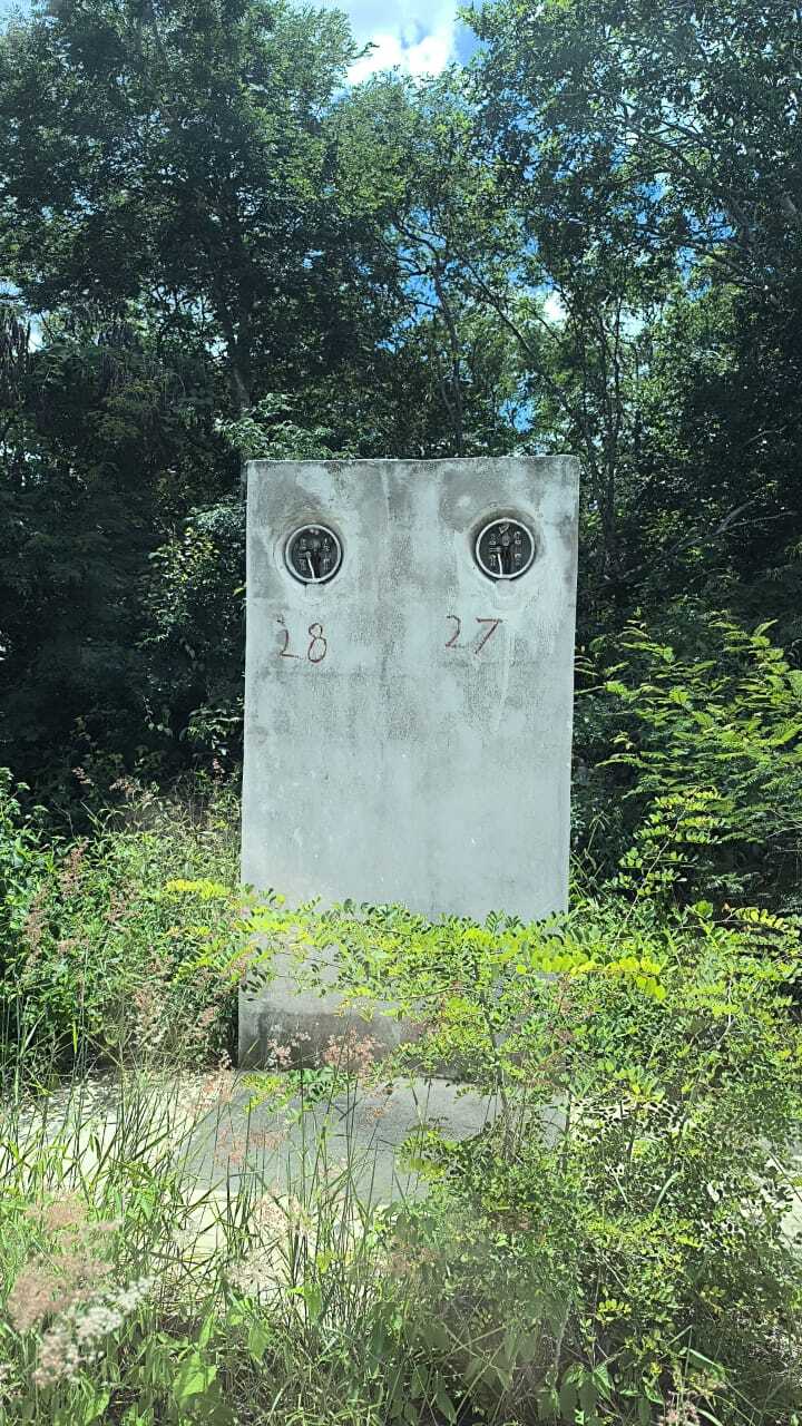 2 of 12
