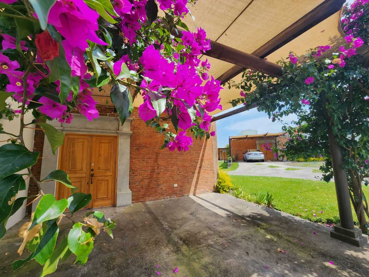 2 de 38
