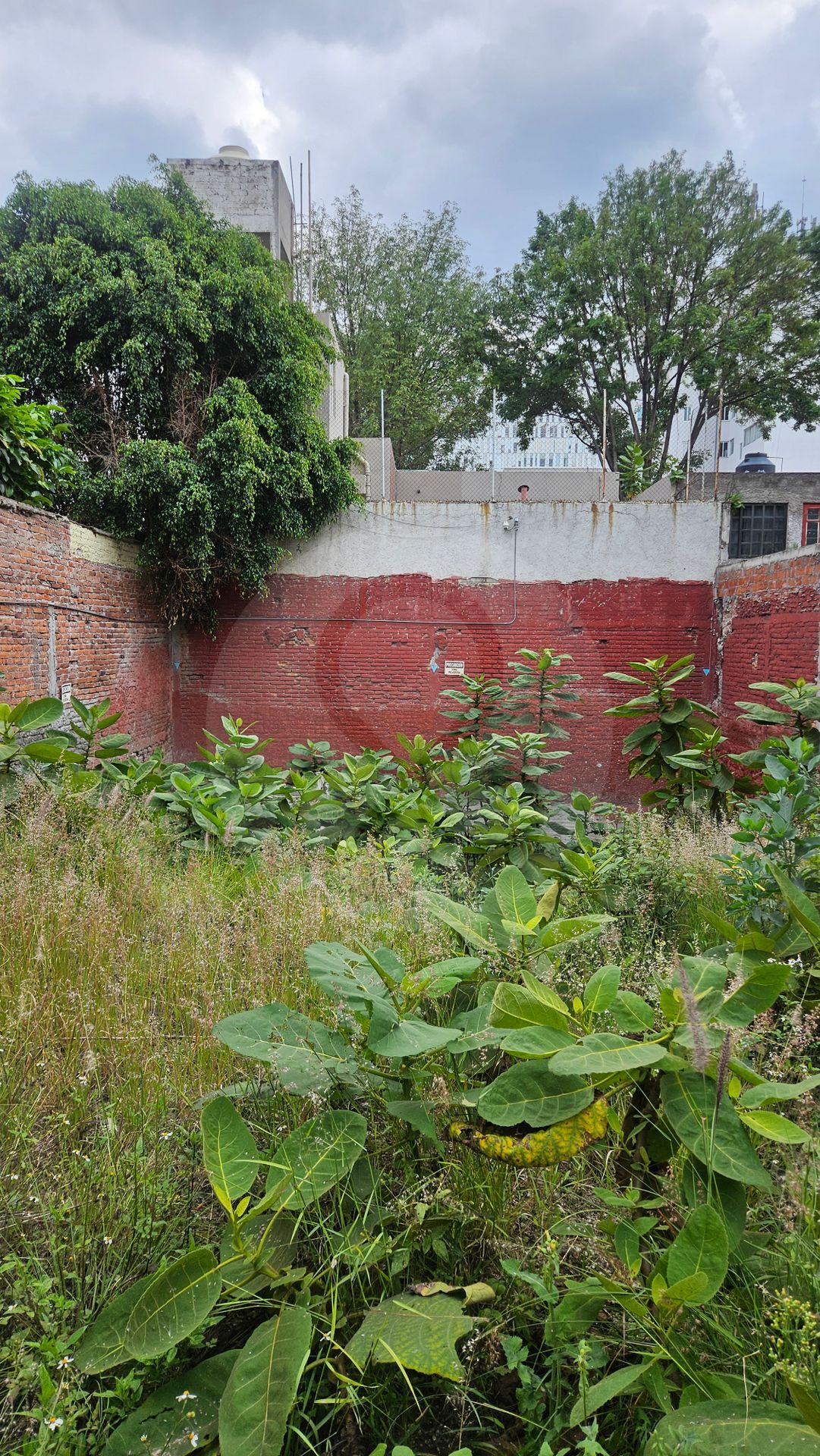 2 de 7