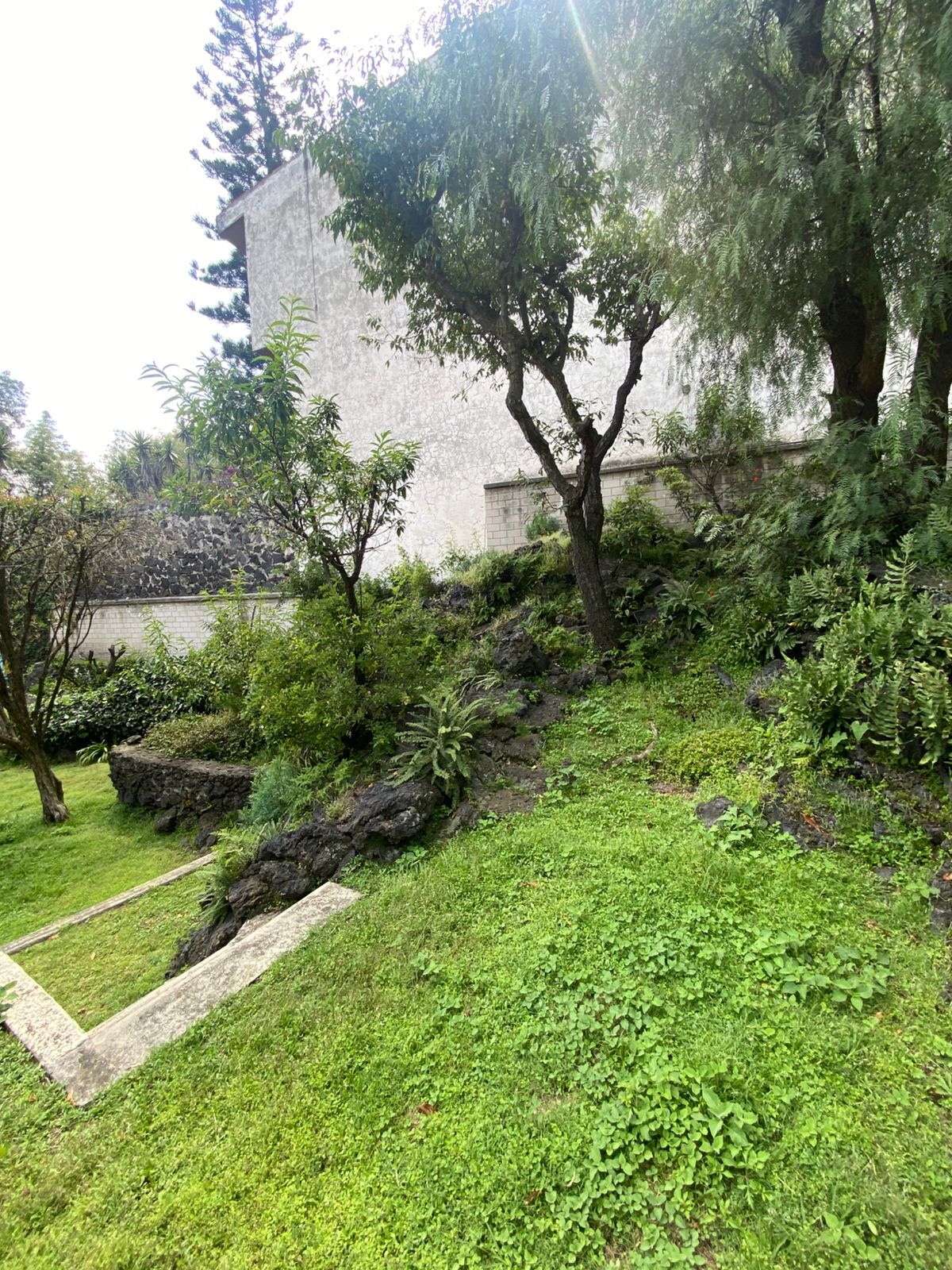 33 de 35