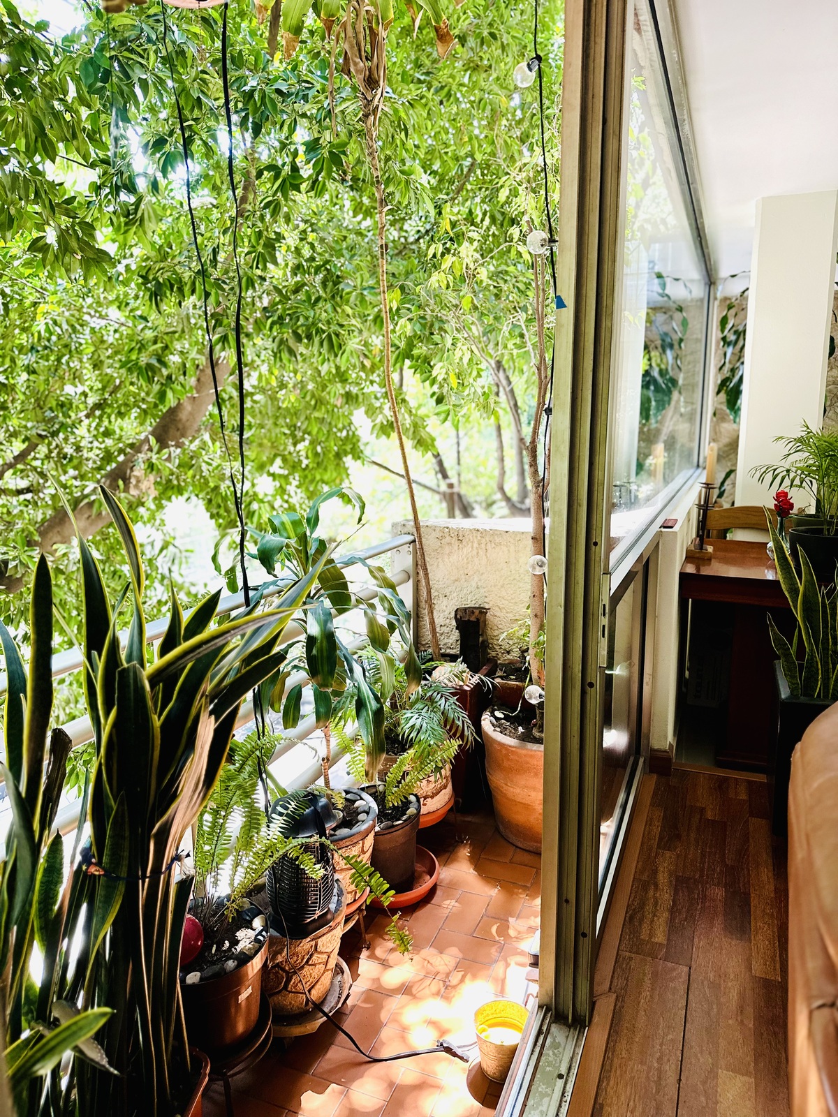 2 of 20: BALCON