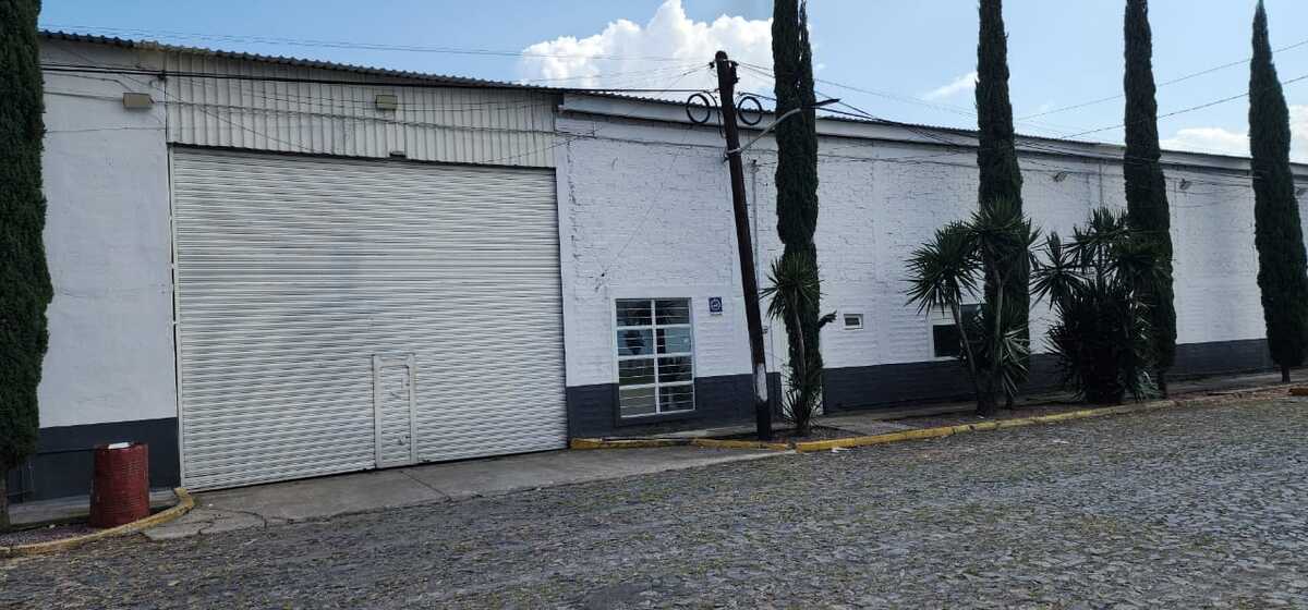 3 de 6