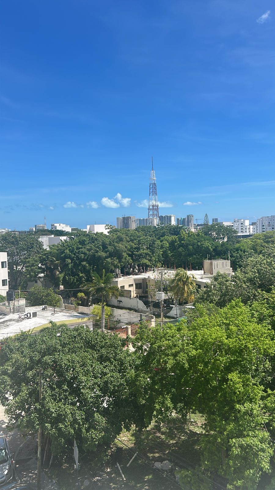 15 de 19