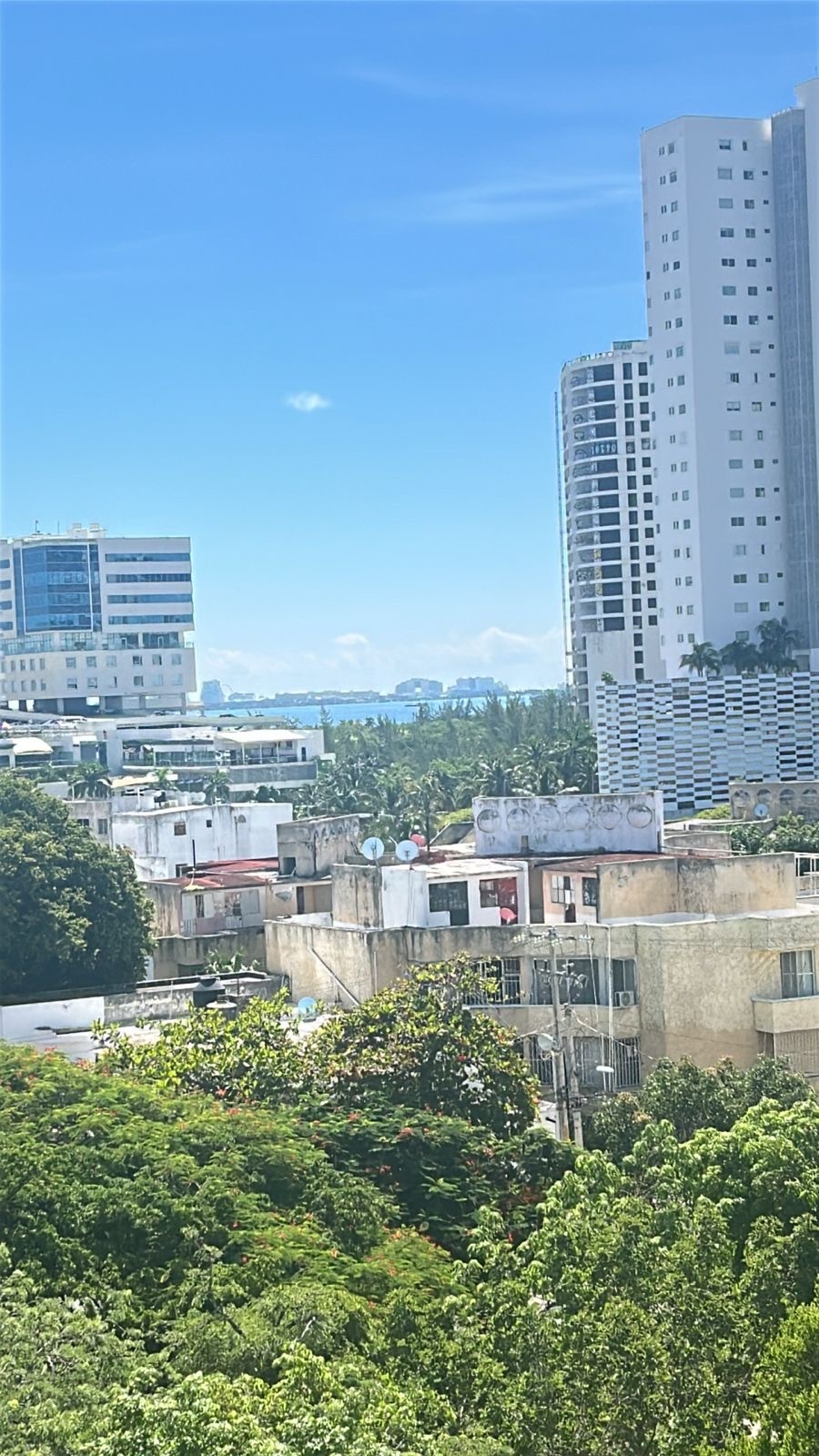 16 de 19