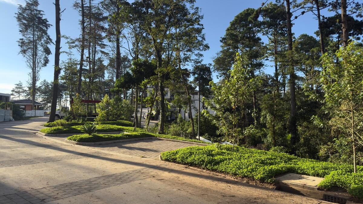 9 de 9: Áreas verdes y parqueo visitas