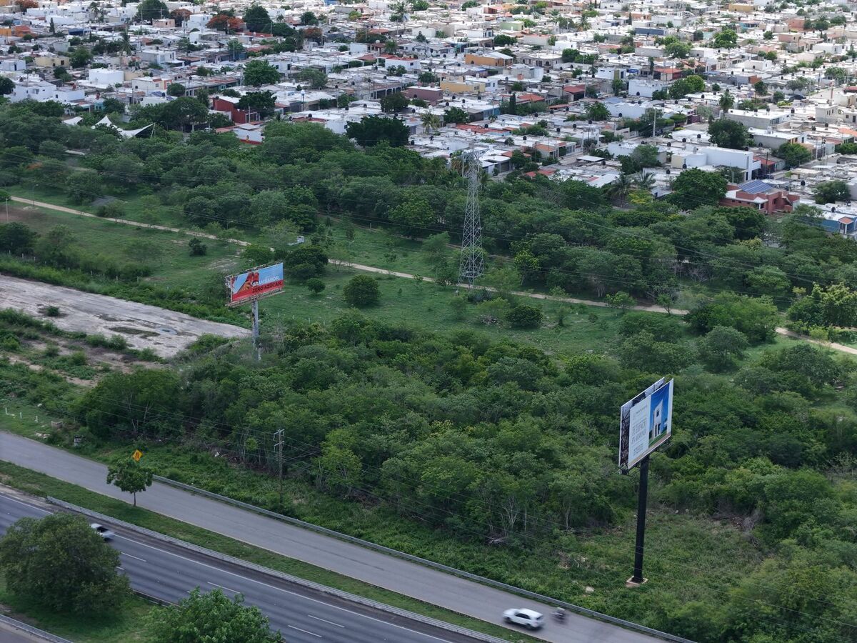 1 de 3