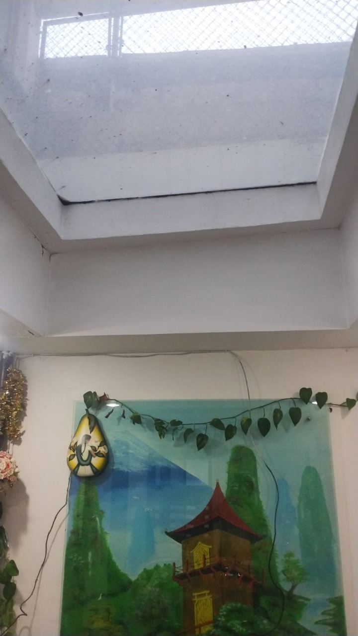22 de 26