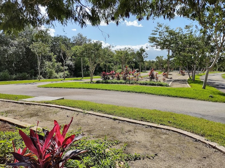 5 de 5