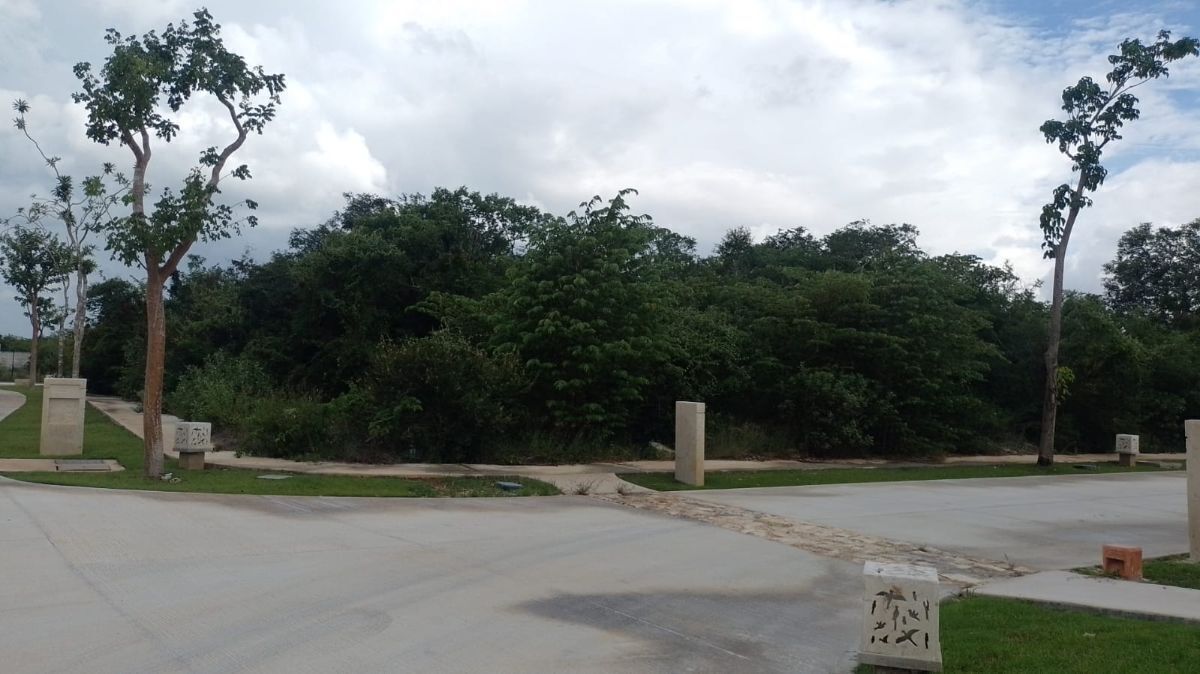 2 de 8