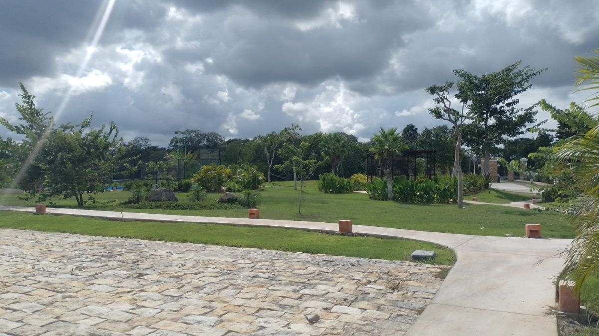 4 de 8