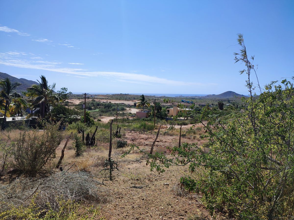 8 de 25