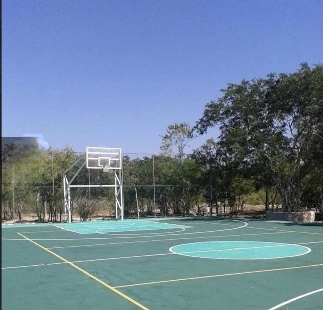 3 de 7