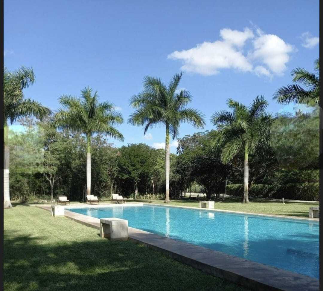 5 de 7