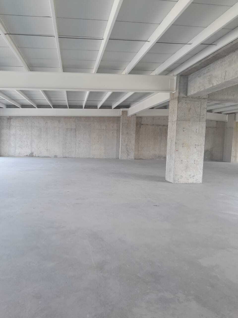 5 de 8