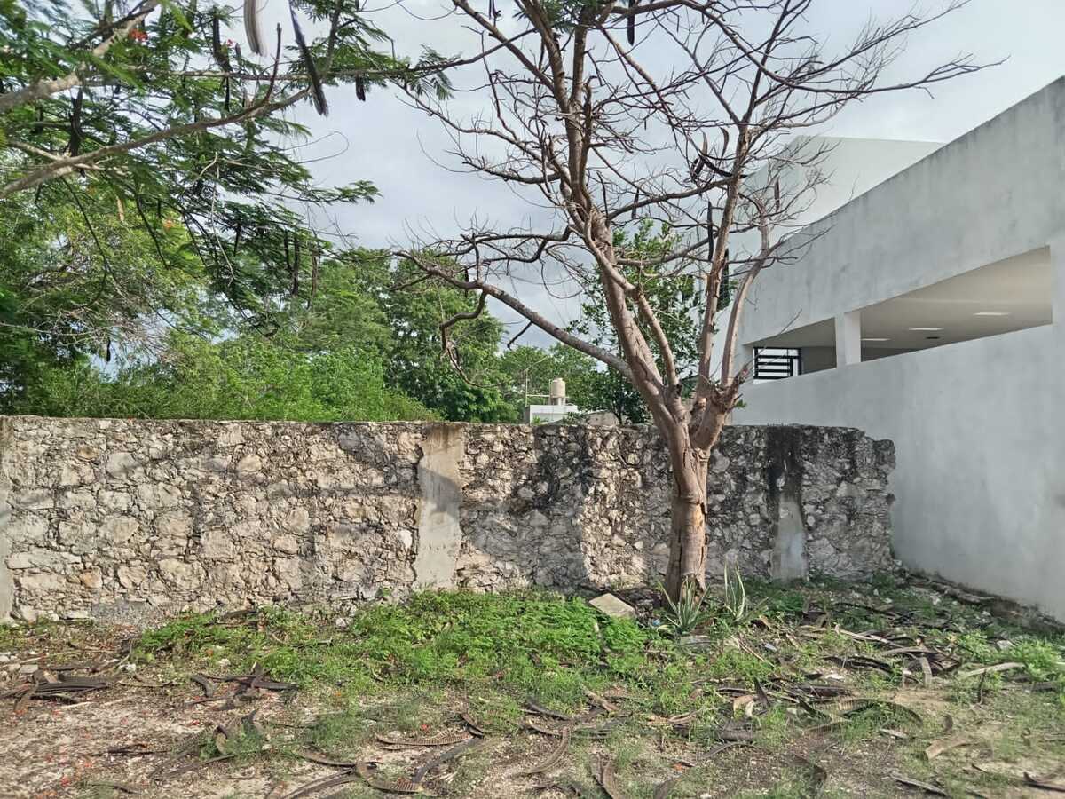 5 of 9: Terreno bardeado completamente