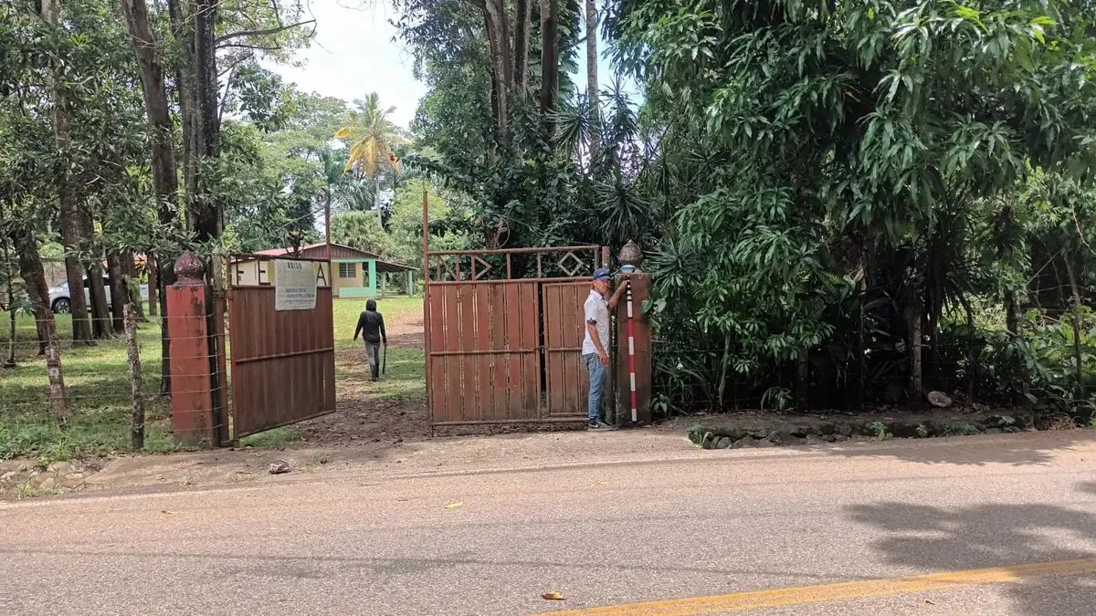 8 de 19