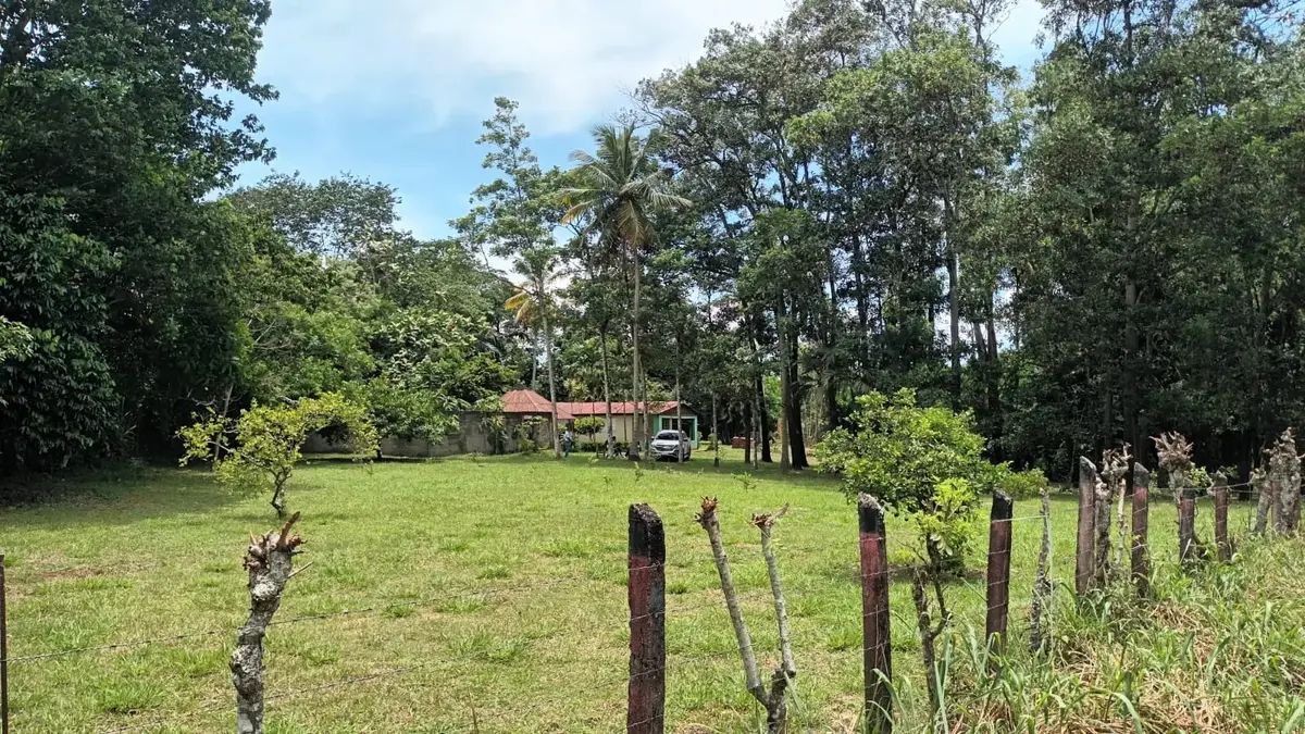 14 de 19