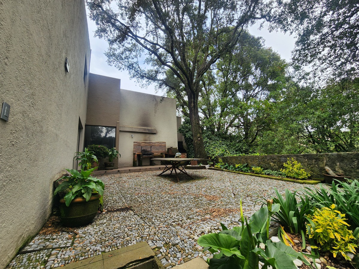 3 de 40: AREA DE ASADOR Y HORNO