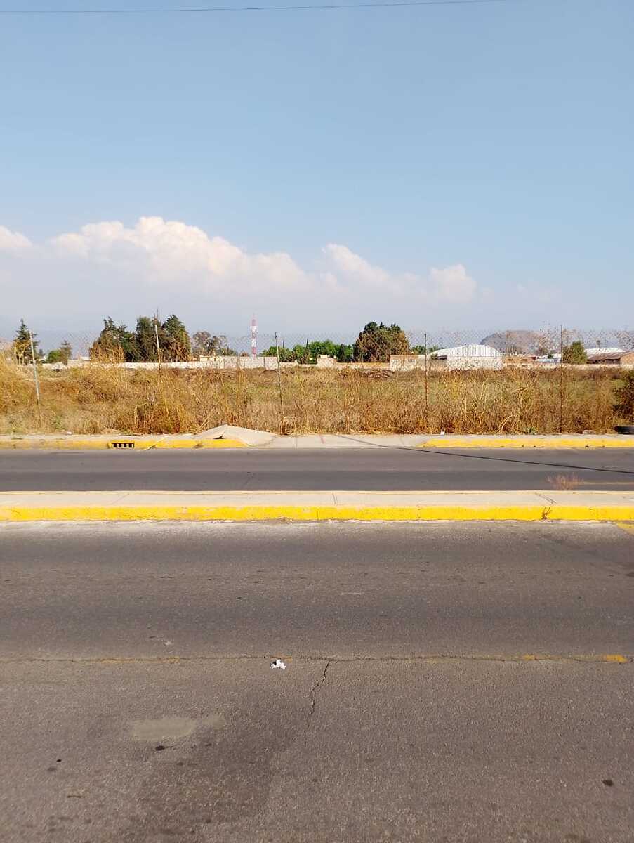 12 de 17
