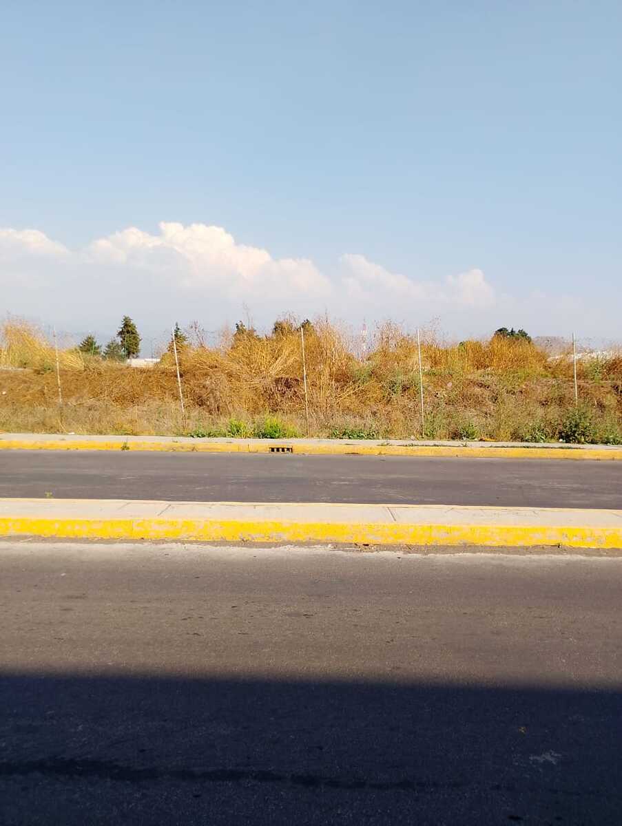 14 de 17
