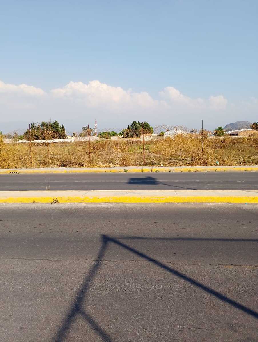 16 de 17