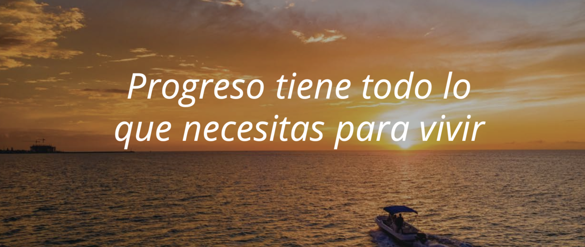 5 de 24