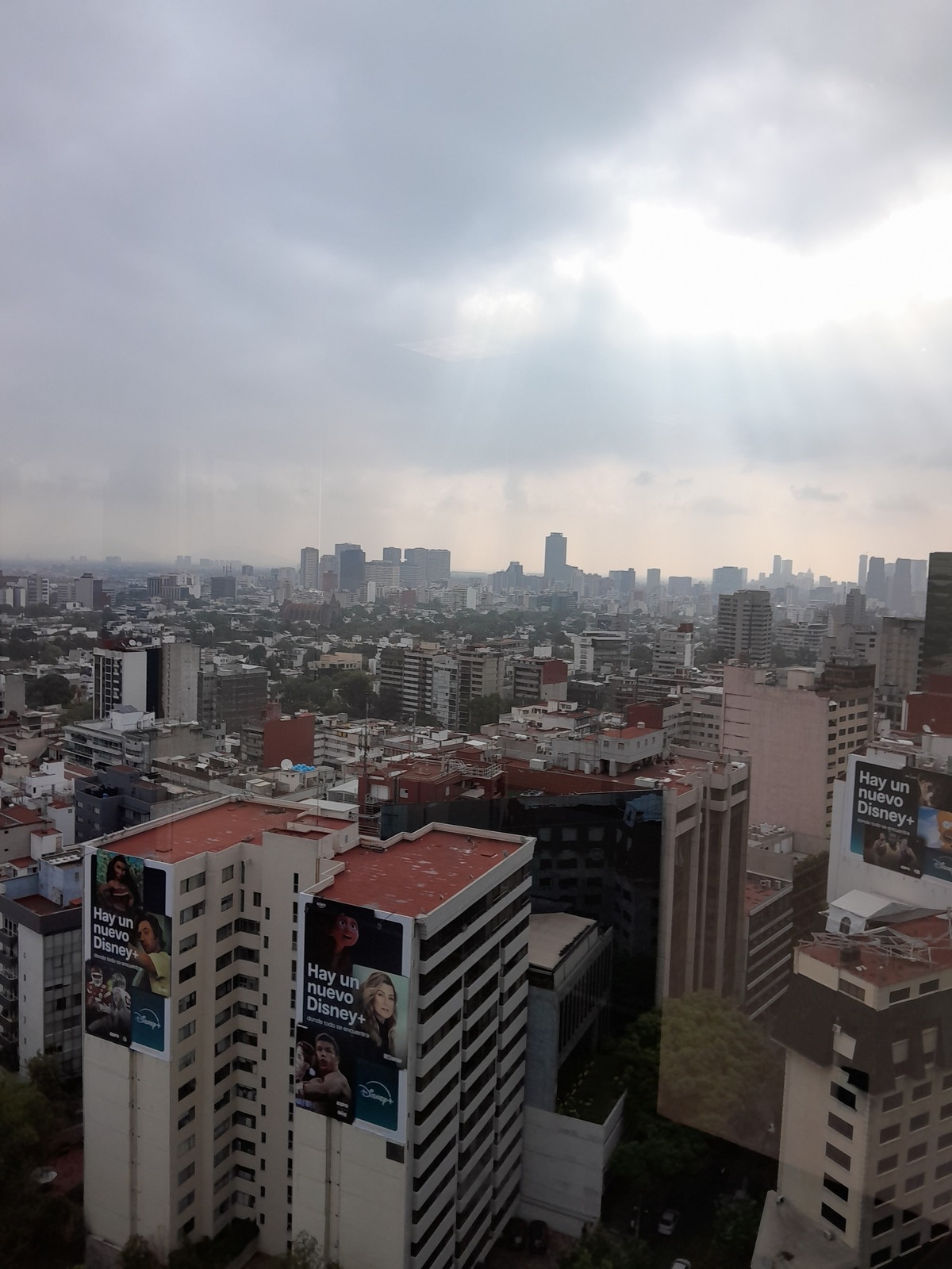 11 de 13