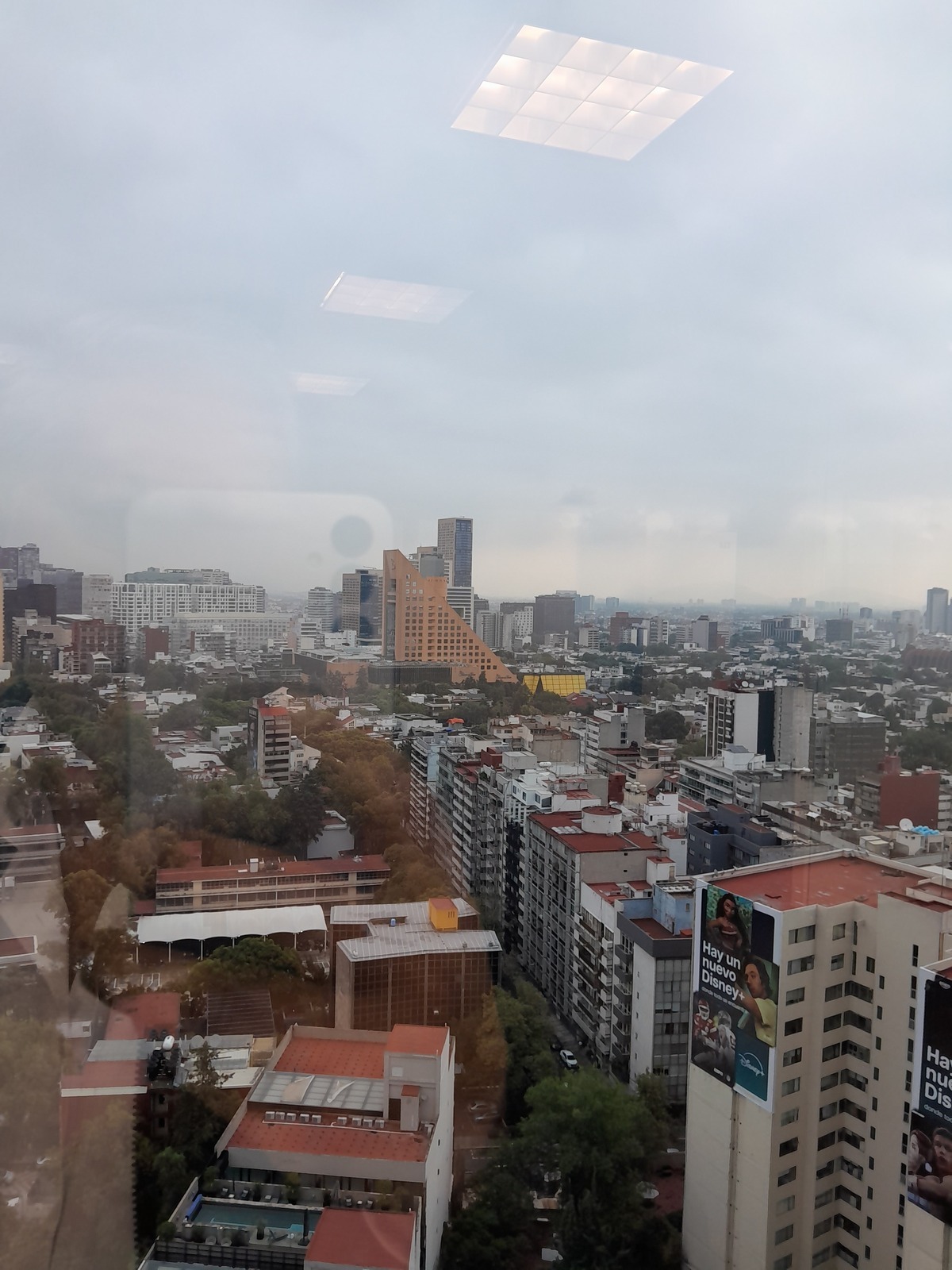 12 de 13