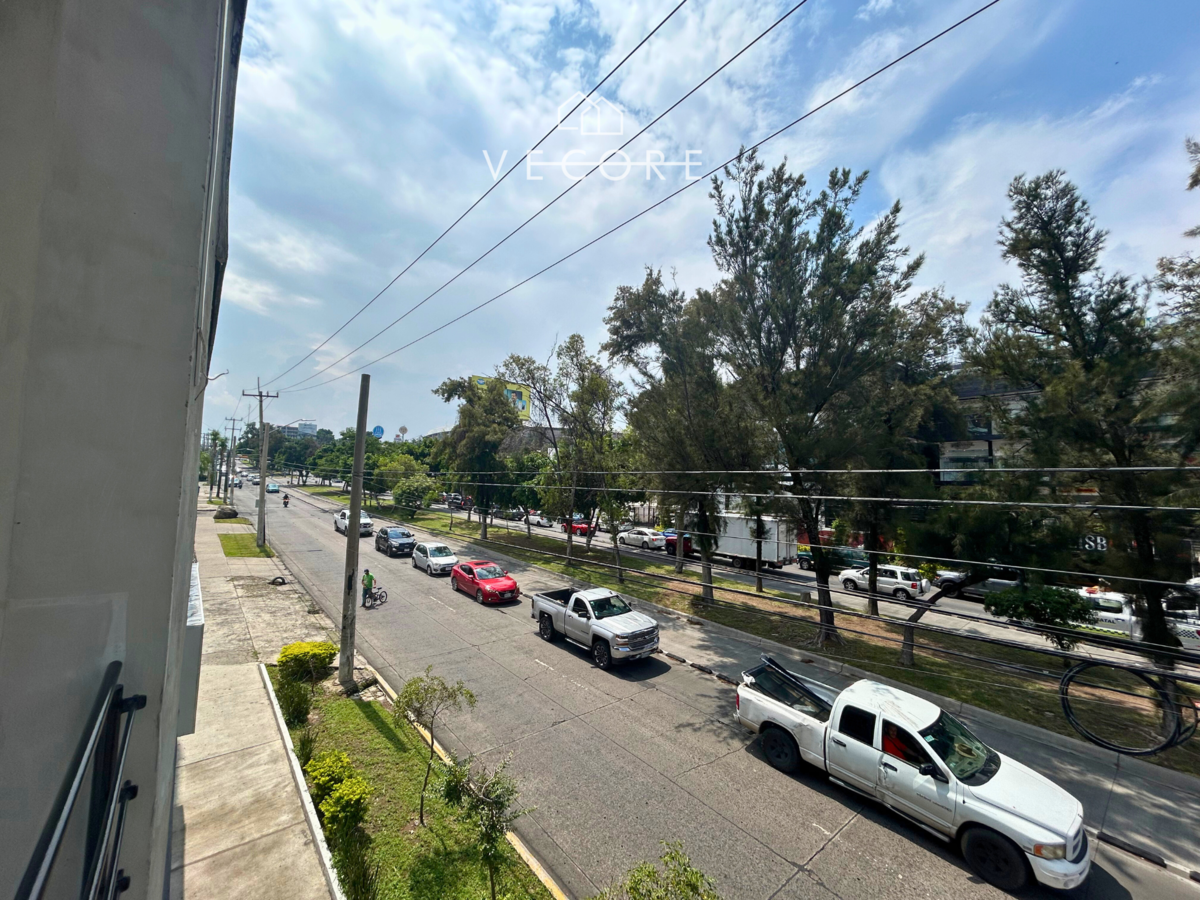 13 de 17