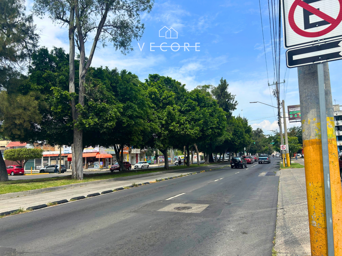 14 de 17