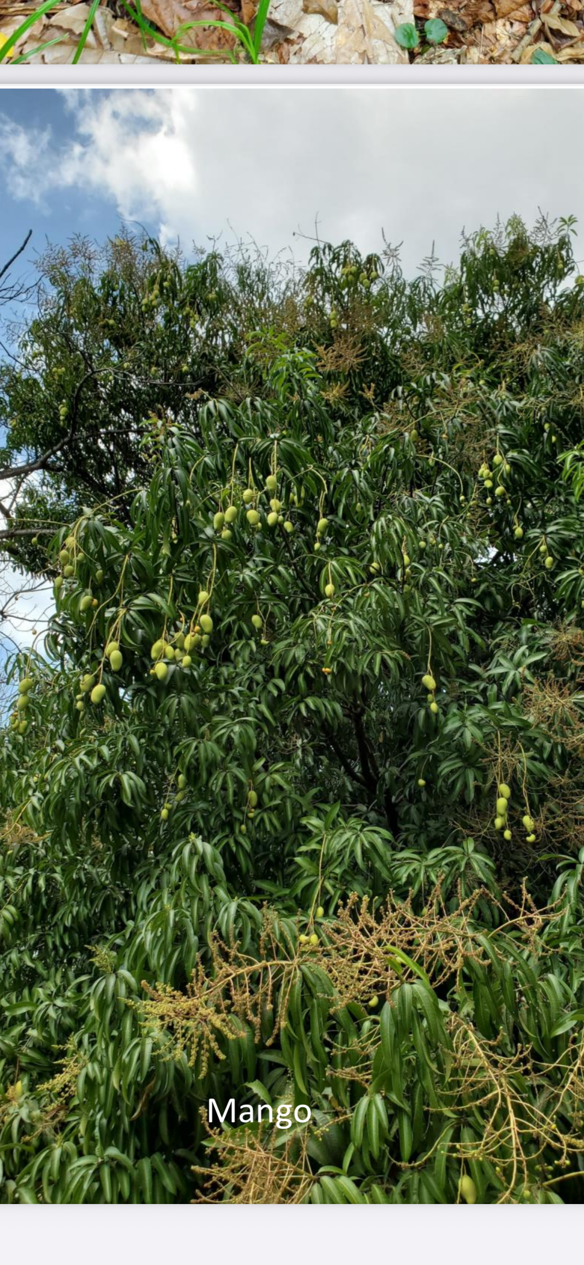 5 de 6