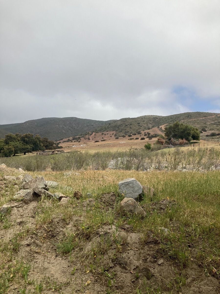 Terrenos en Valle de Guadalupe justo atras de Casa Frida
