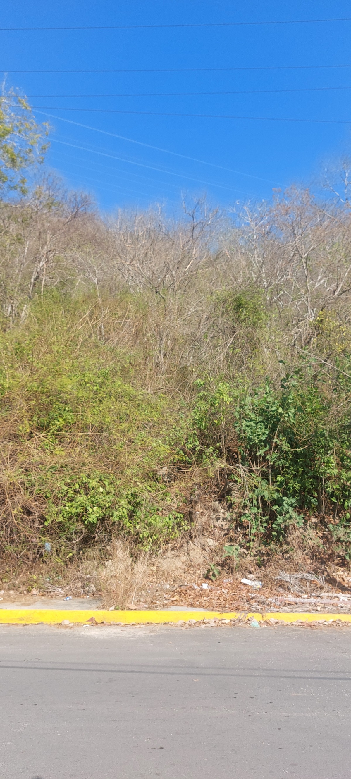 1 of 7: frente del terreno 13.61m