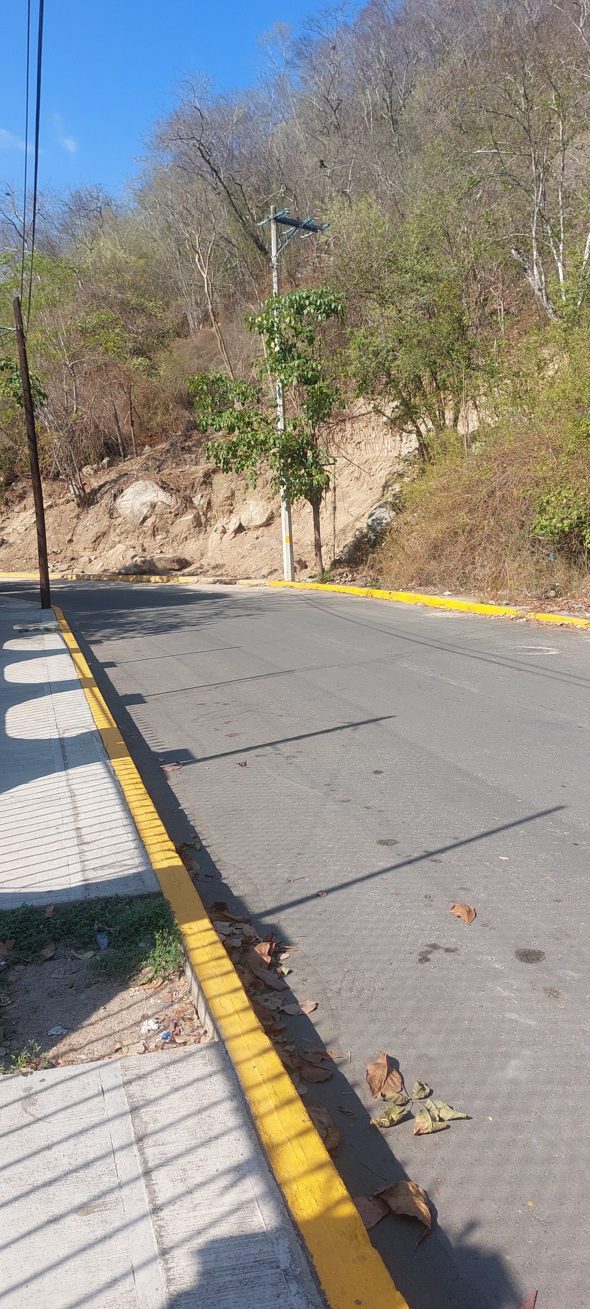 3 of 7: calle de acceso pavimentado