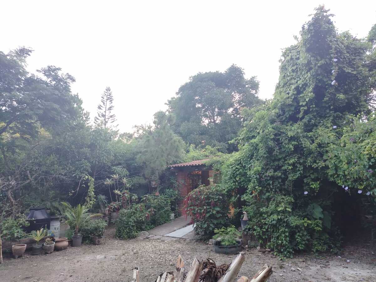 2 de 10