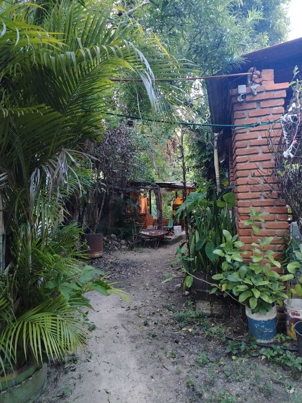 7 de 10