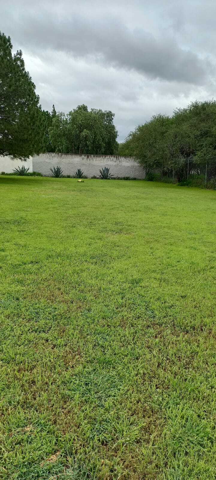 4 de 5