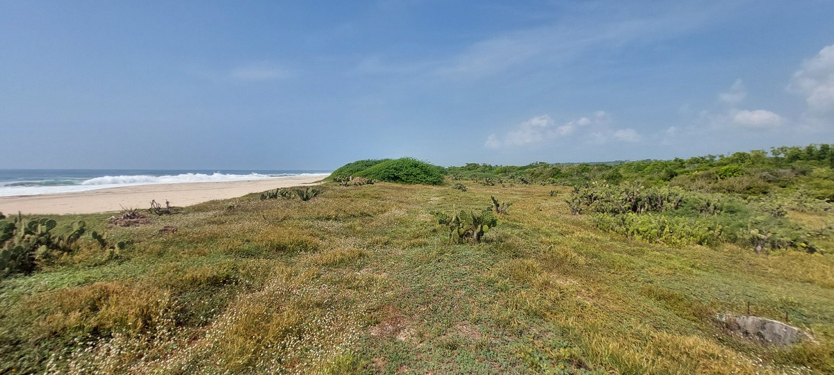 2 of 9: Ancho de 50 m de Lote