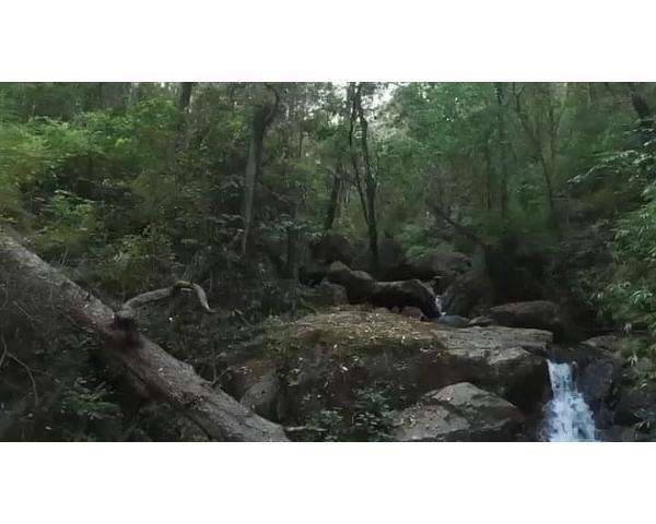 4 of 8