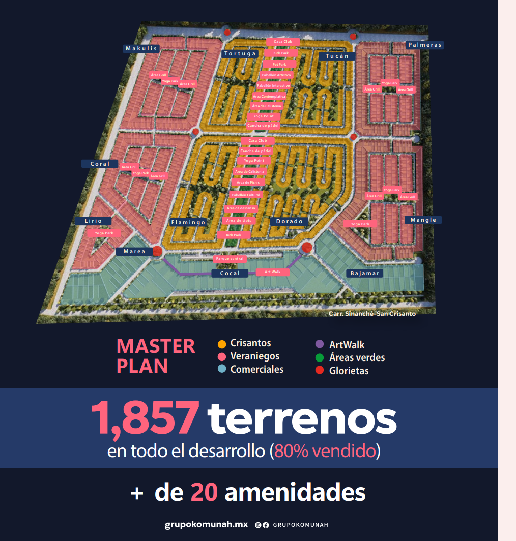6 de 9