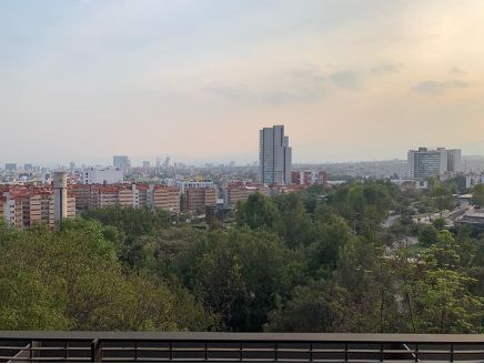 5 de 11