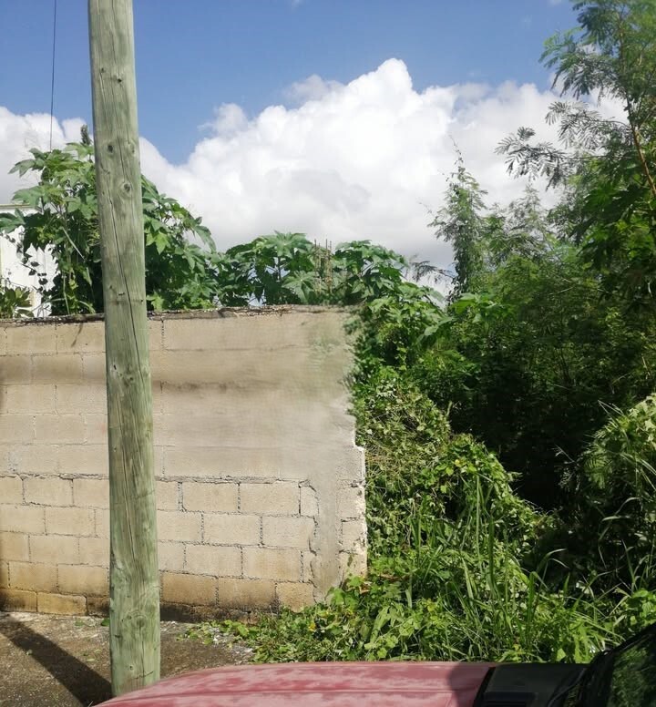 3 de 6