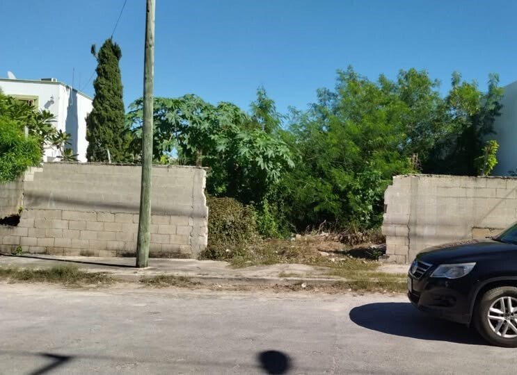 4 de 6