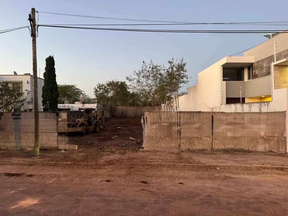 5 de 6
