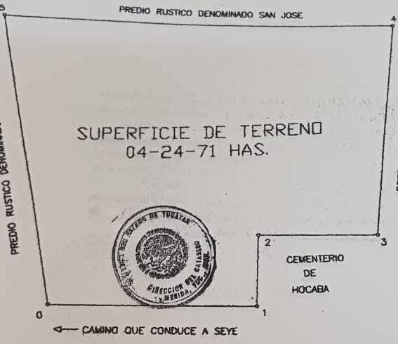 14 de 14